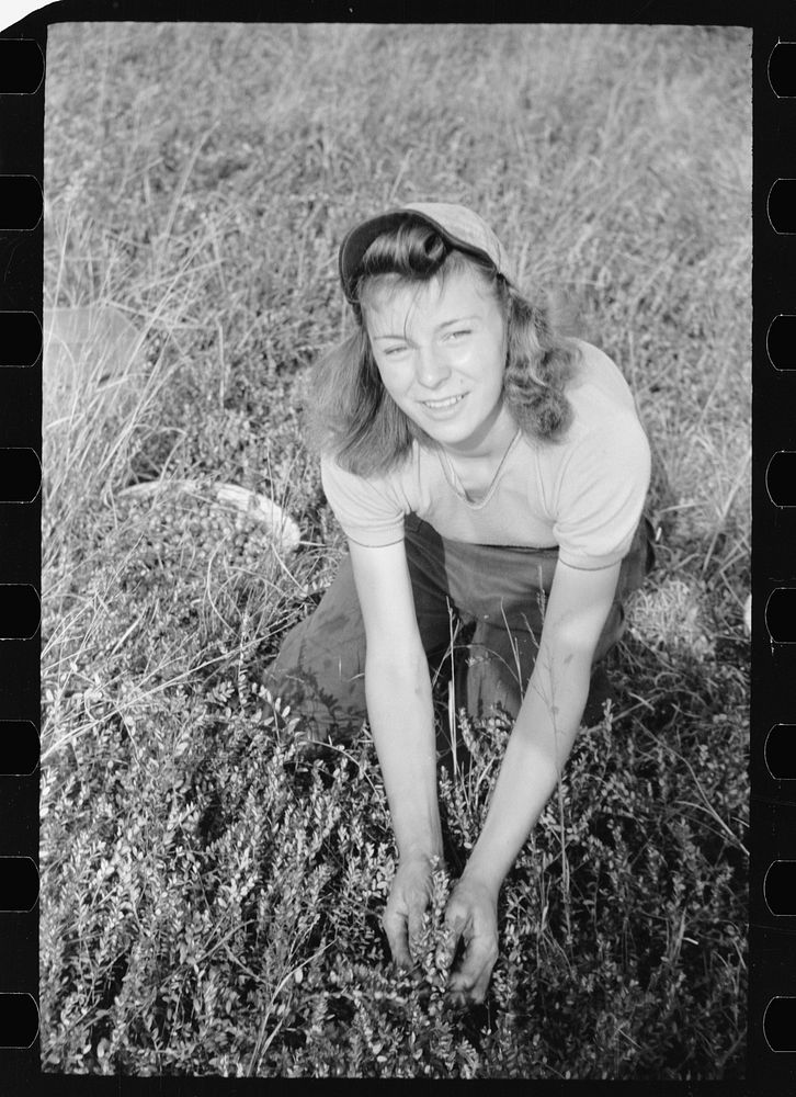 Girl picking cranberries, Burlington County, New Jersey. Sourced from the Library of Congress.
