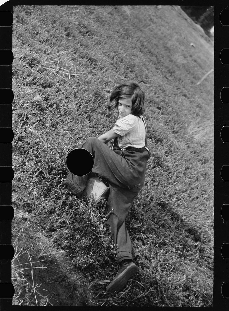 [Untitled photo, possibly related to: Child labor in cranberry bog, Burlington County, New Jersey]. Sourced from the Library…