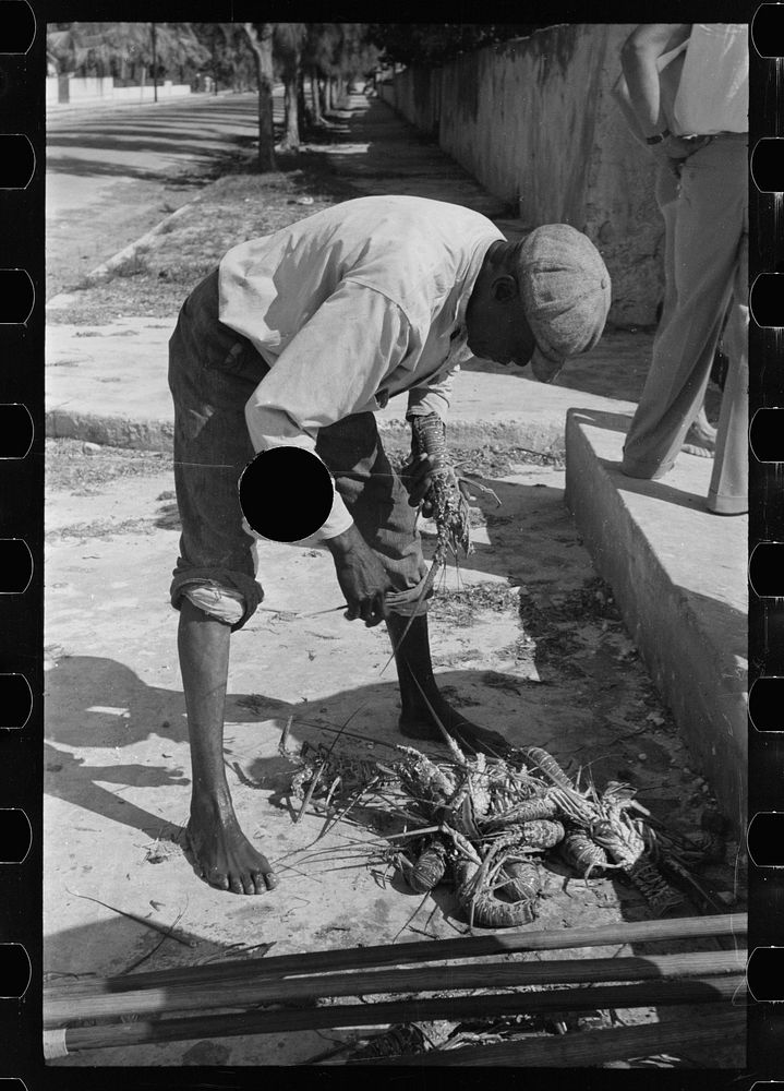[Untitled photo, possibly related to: Fisherman with crawfish, Key West, Florida]. Sourced from the Library of Congress.