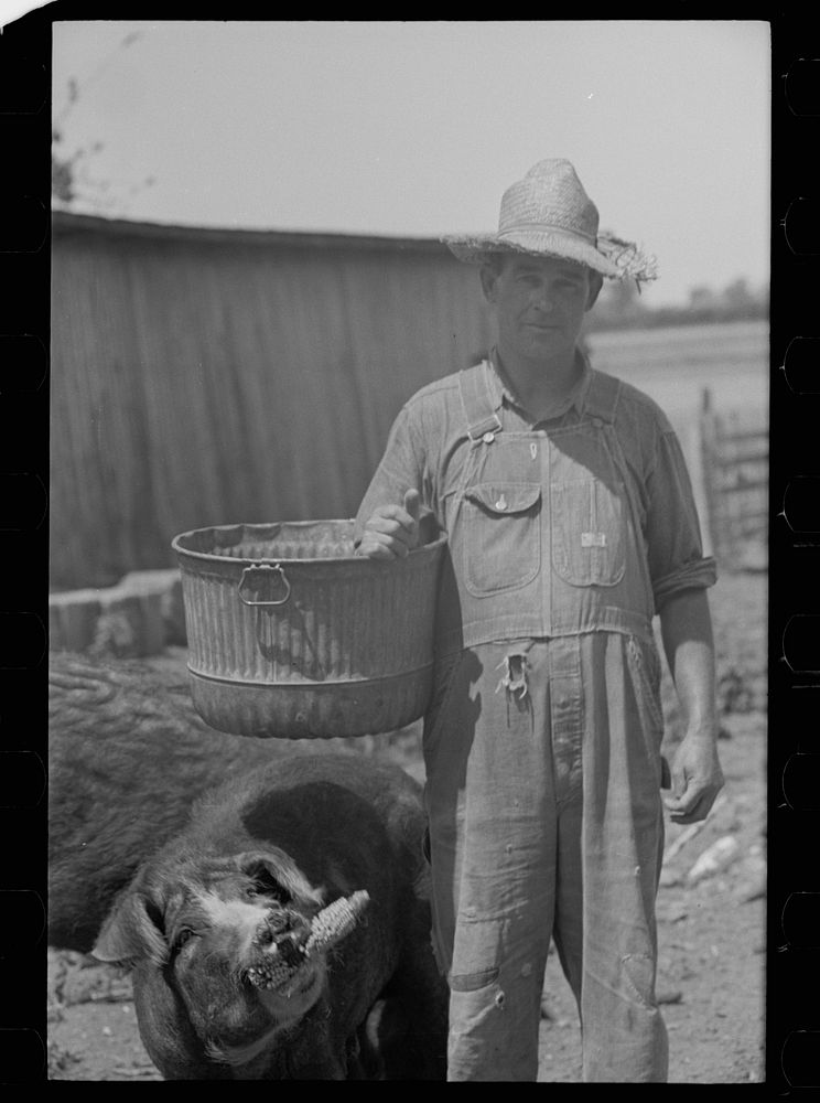 [Untitled photo, possibly related to: Farmer and child, Scioto Farms, Ohio]. Sourced from the Library of Congress.