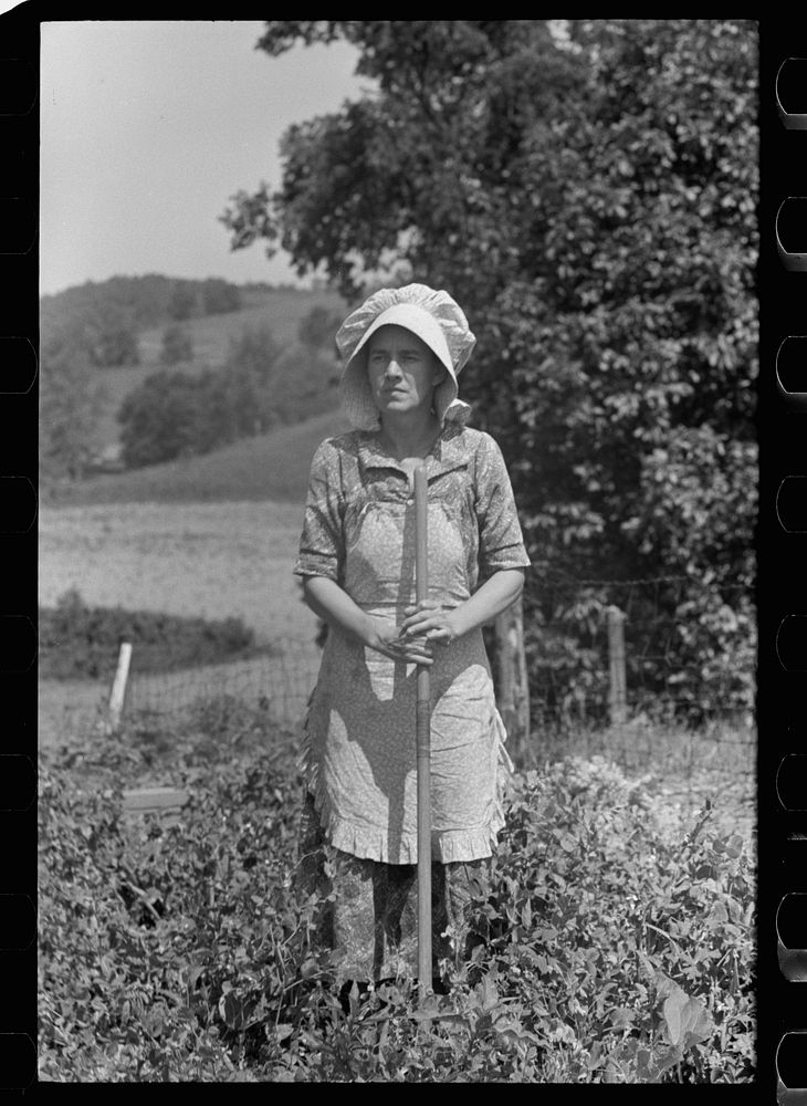 Farmer's wife with chickens, Scioto Farms, Ohio. Sourced from the Library of Congress.