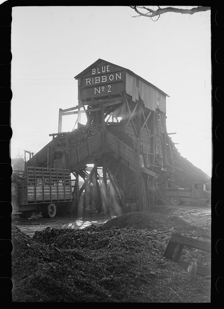 [Untitled photo, possibly related to: Blue Ribbon No. 2 Mine, one of the largest gopher holes, Williamson County, Illinois…