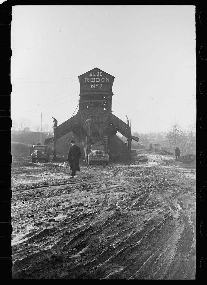 [Untitled photo, possibly related to: Blue Ribbon No. 2 Mine, one of the largest gopher holes, Williamson County, Illinois…