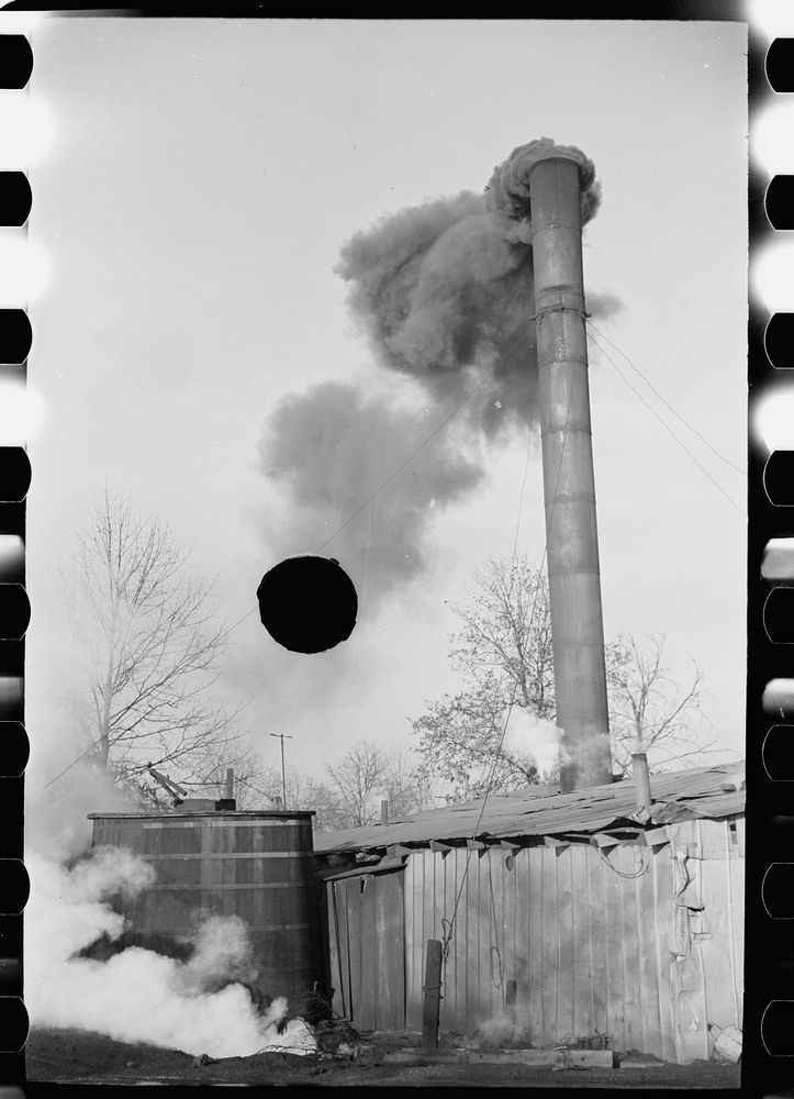 [Untitled photo, possibly related to: Gopher hole employing steam power, Williamson County, Illinois (see 26940-D)]. Sourced…