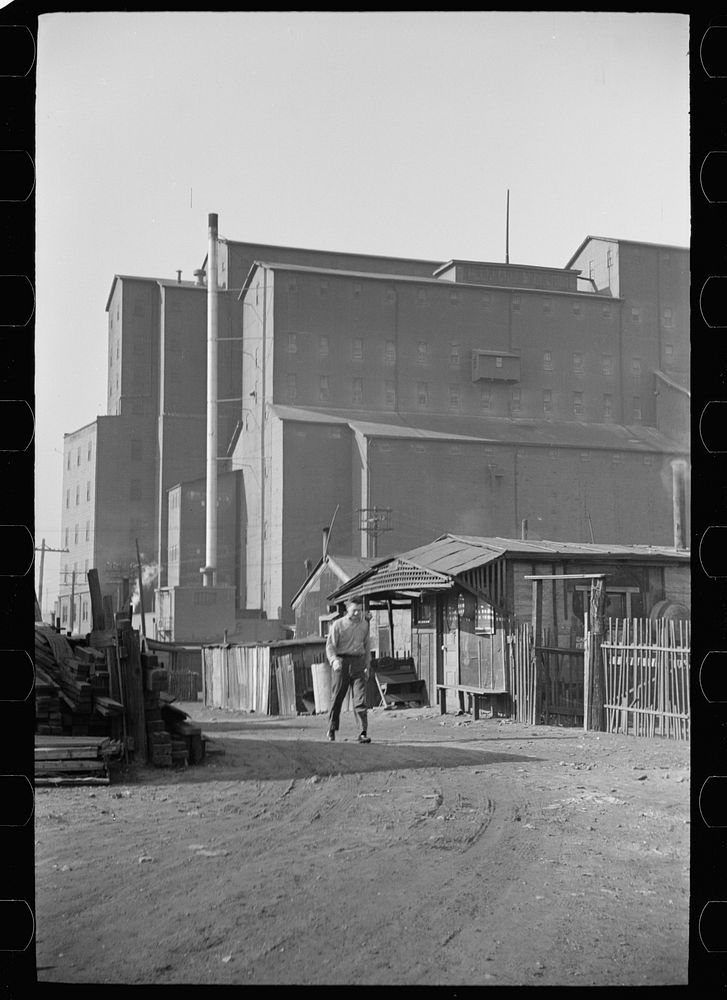 [Untitled photo, possibly related to: Squatters' shacks with grain elevator in background, Saint Louis, Missouri]. Sourced…