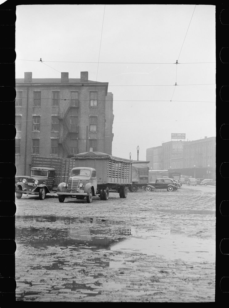 Market along riverfront, Saint Louis, Missouri. Sourced from the Library of Congress.