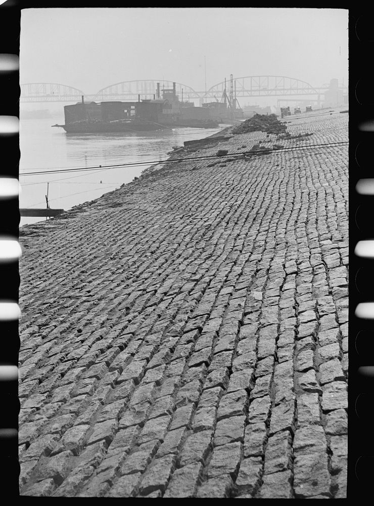 [Untitled photo, possibly related to: Levee along Mississippi, Saint Louis, Missouri]. Sourced from the Library of Congress.