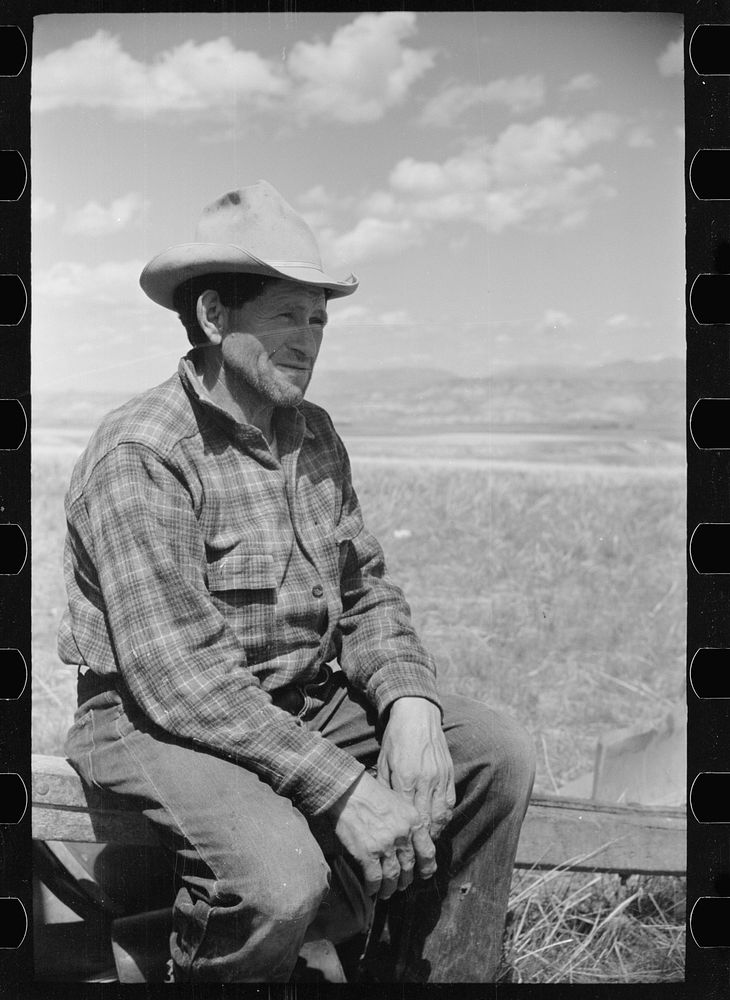 [Untitled photo, possibly related to: Sheepherder and chuck wagon [i.e., sheepherder's wagon], Madison County, Montana].…
