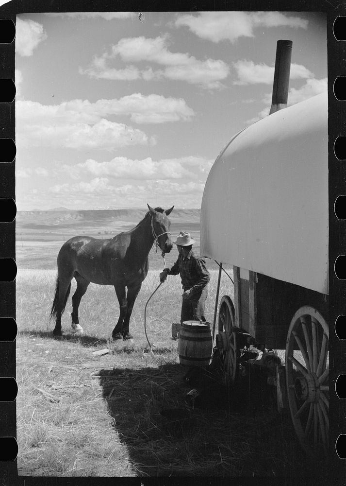 Sheepherder tying his horse to chuck wagon [i.e., sheepherder's wagon], Madison County, Montana. Sourced from the Library of…