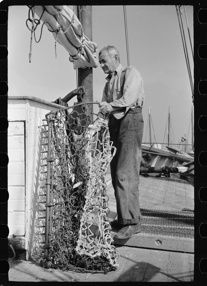 Oysterman with dredge for gathering oysters, Bivalve, New Jersey. Sourced from the Library of Congress.