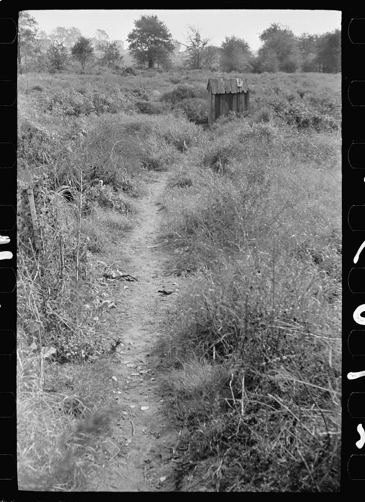 Privy near cranberry pickers' shack, Burlington County, New Jersey. Sourced from the Library of Congress.