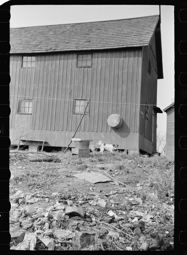 Shack in which families of cranberry pickers are crowded together, Burlington County, New Jersey. Sourced from the Library…