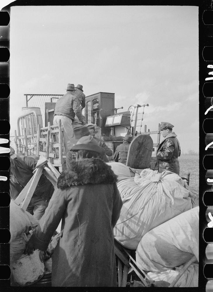 [Untitled photo, possibly related to: State highway officials moving evicted sharecroppers away from roadside to area…