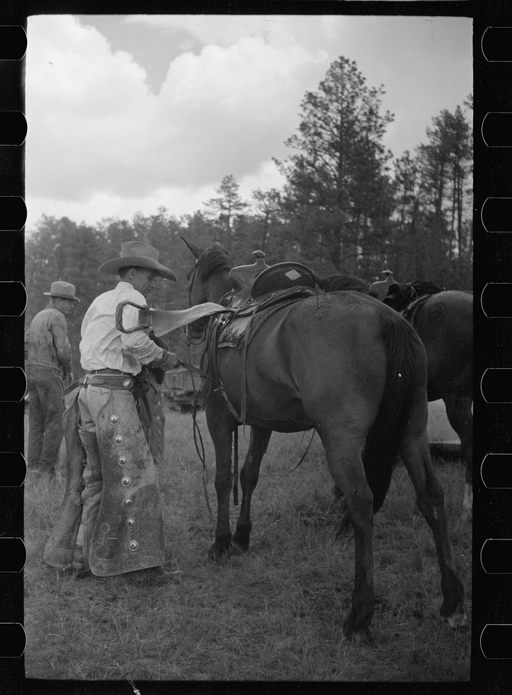 Saddling a horse, Three Circle roundup, Custer National Forest, Montana. Sourced from the Library of Congress.