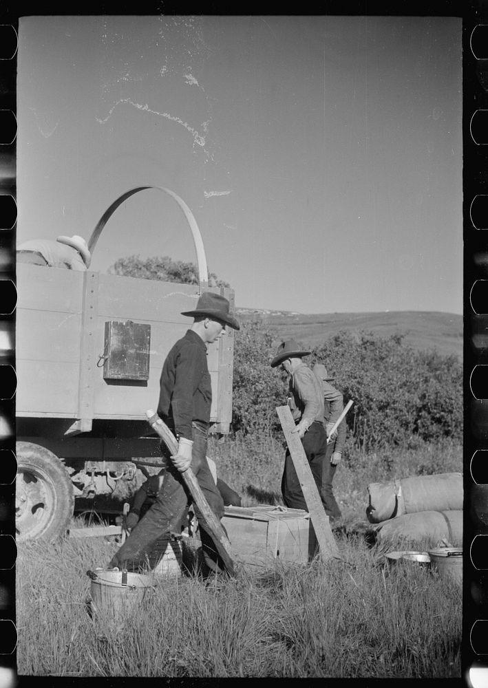 Setting up camp, Quarter Circle U roundup, Montana. Sourced from the Library of Congress.