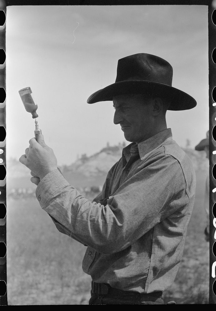 Cowboy filling syringe withleg serum, Quarter Circle U Ranch roundup, Montana. Sourced from the Library of Congress.