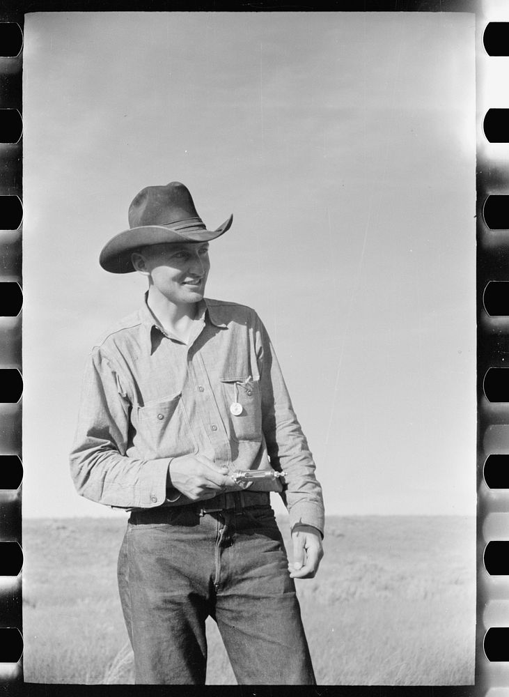 Cowboy with syringe used in immunization againstleg, Quarter Circle U roundup, Montana. Sourced from the Library of Congress.