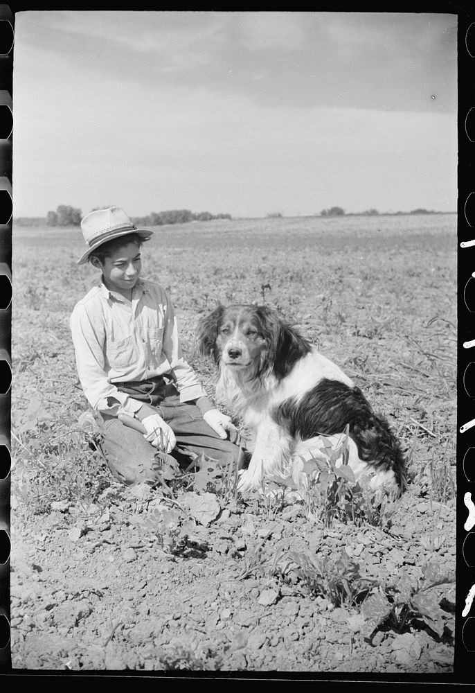 [Untitled photo, possibly related to: Young sugar beet worker with dog, Treasure County Montana]. Sourced from the Library…