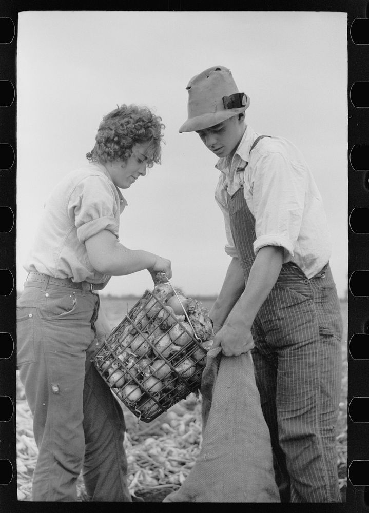 Young onion field worker, Rice County, Minnesota. Sourced from the Library of Congress.