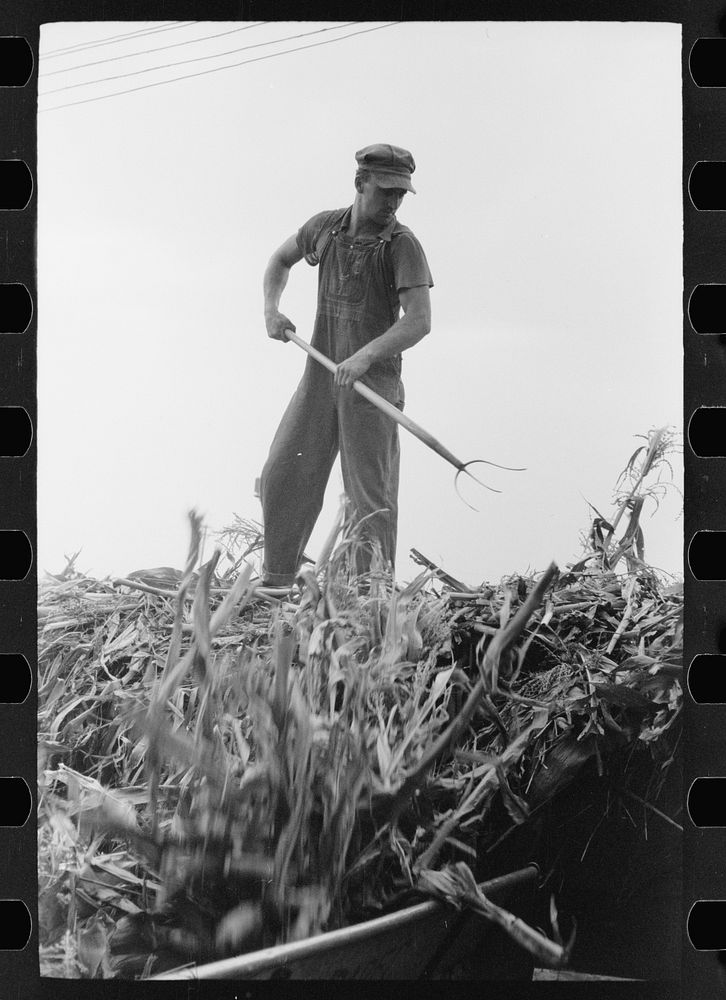 [Untitled photo, possibly related to: Silo and barn, Brandtjen Dairy Farm, Dakota County, Minnesota]. Sourced from the…