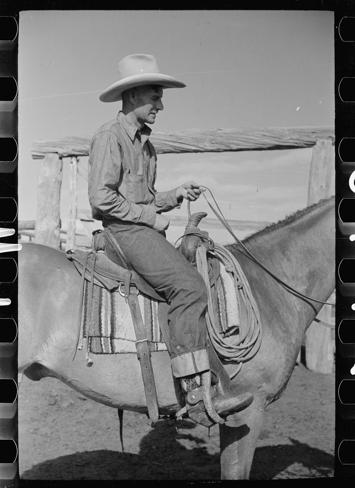 [Untitled photo, possibly related to: Cowboy mounting horse, Quarter Circle U Ranch, Big Horn County, Montana]. Sourced from…