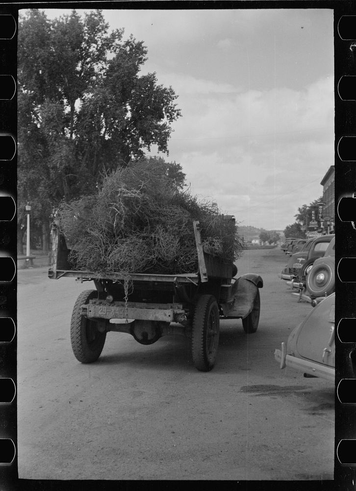Truckload of tumbleweed, Forsyth, Montana. Sourced from the Library of Congress.