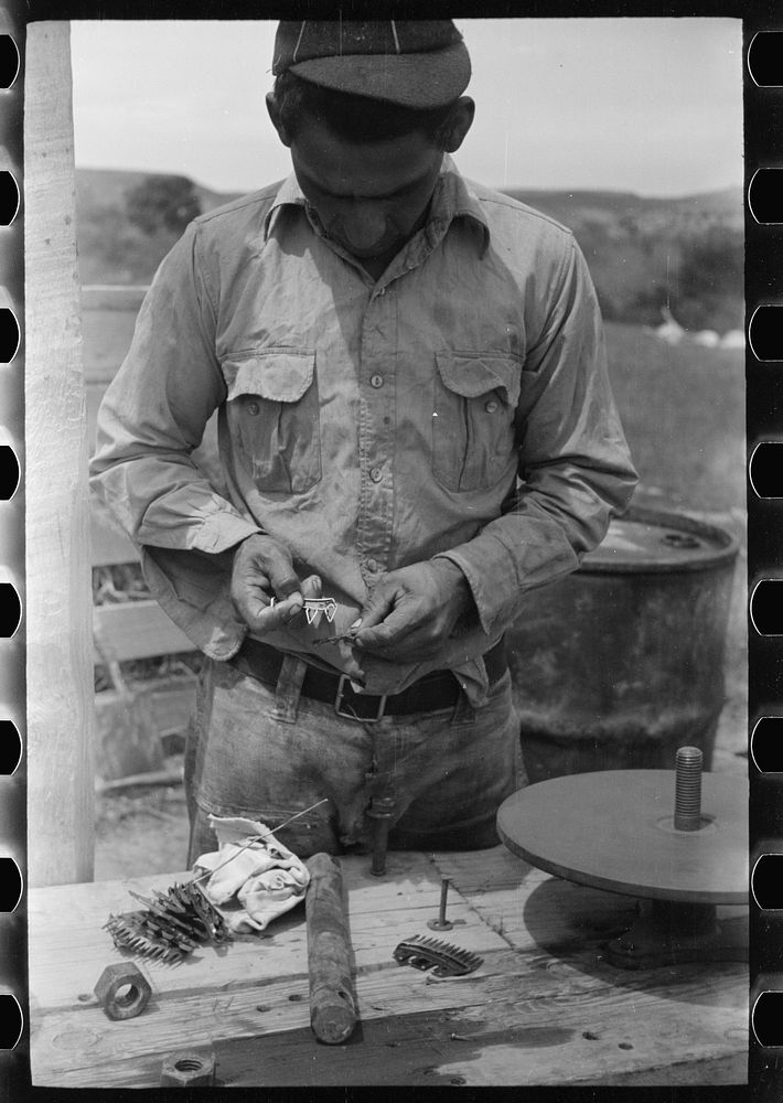 [Untitled photo, possibly related to: Sheepshearer cleans blade of his shears, Rosebud County, Montana]. Sourced from the…