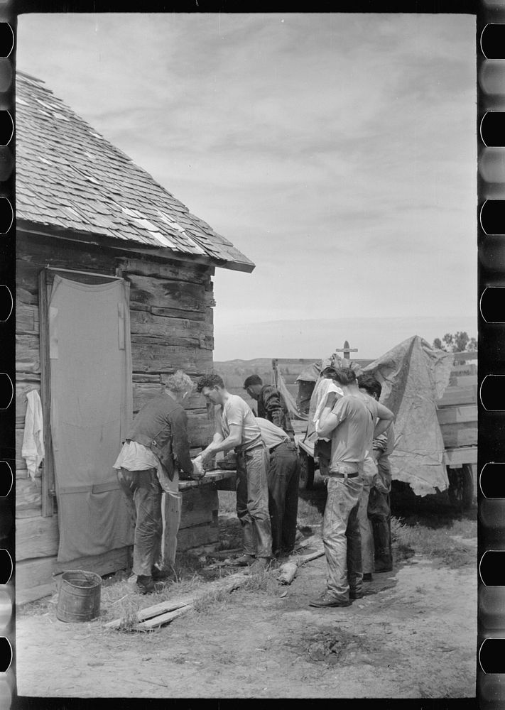 Sheepshearers washing up, Rosebud County, Montana. Sourced from the Library of Congress.
