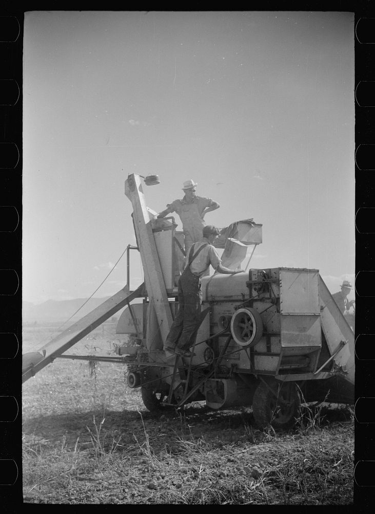 [Untitled photo, possibly related to: Bean threshers, western Colorado]. Sourced from the Library of Congress.