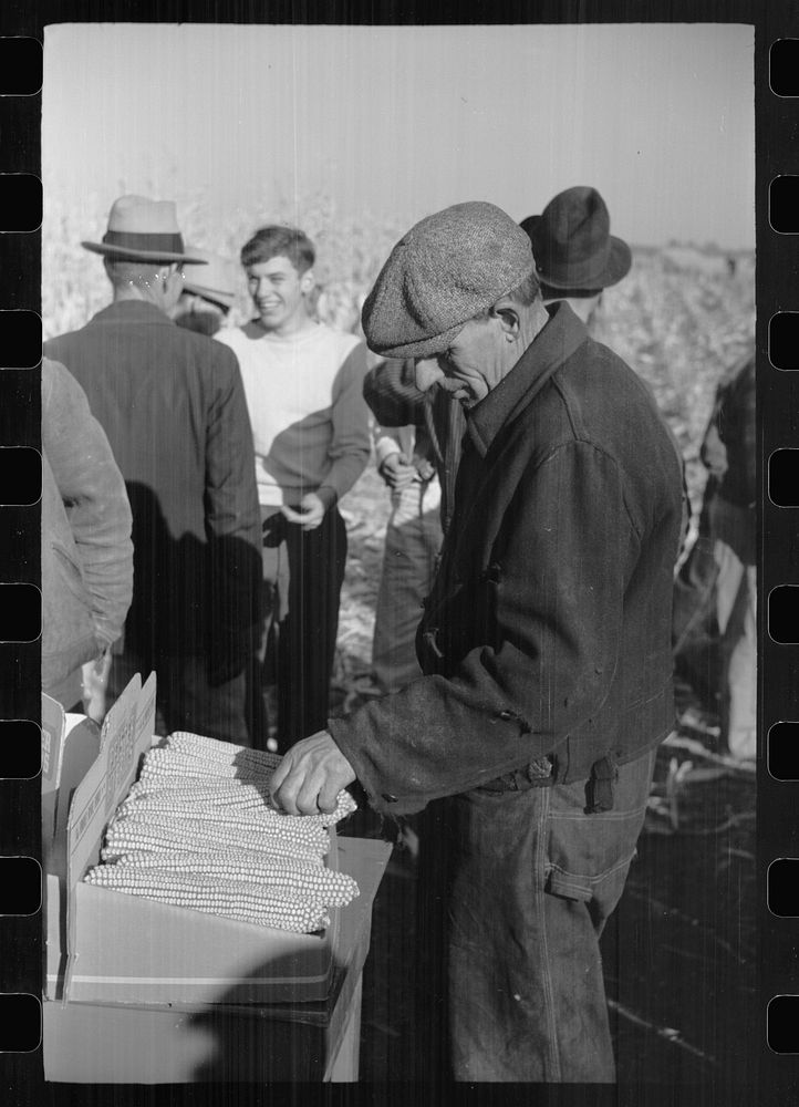 [Untitled photo, possibly related to: Farmers examine exhibit of hybrid corn, mechanical cornhusking contest, Hardin County…