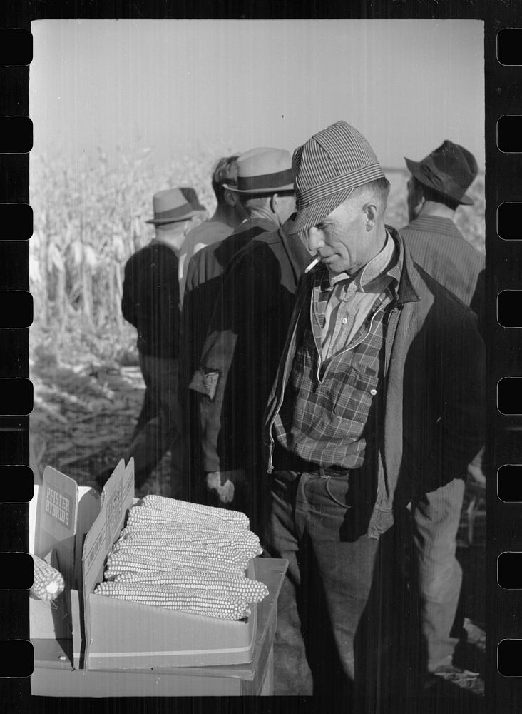 Farmers examine hybrid corn, mechanical cornhusking contest, Hardin County, Iowa. Sourced from the Library of Congress.