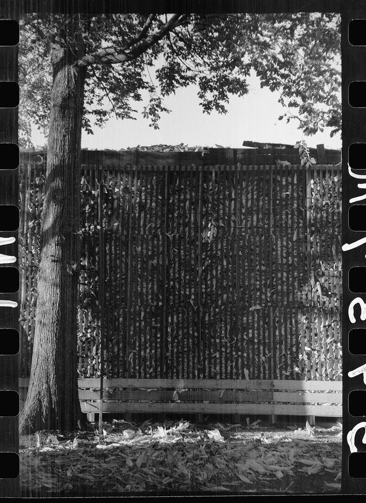 [Untitled photo, possibly related to: Corn crib, Grundy County, Iowa]. Sourced from the Library of Congress.