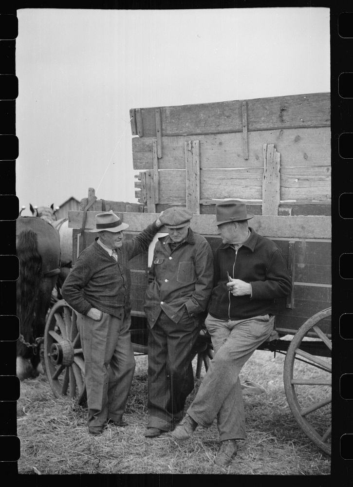 [Untitled photo, possibly related to: Spectators at cornhusking contest, Marshall County, Iowa]. Sourced from the Library of…
