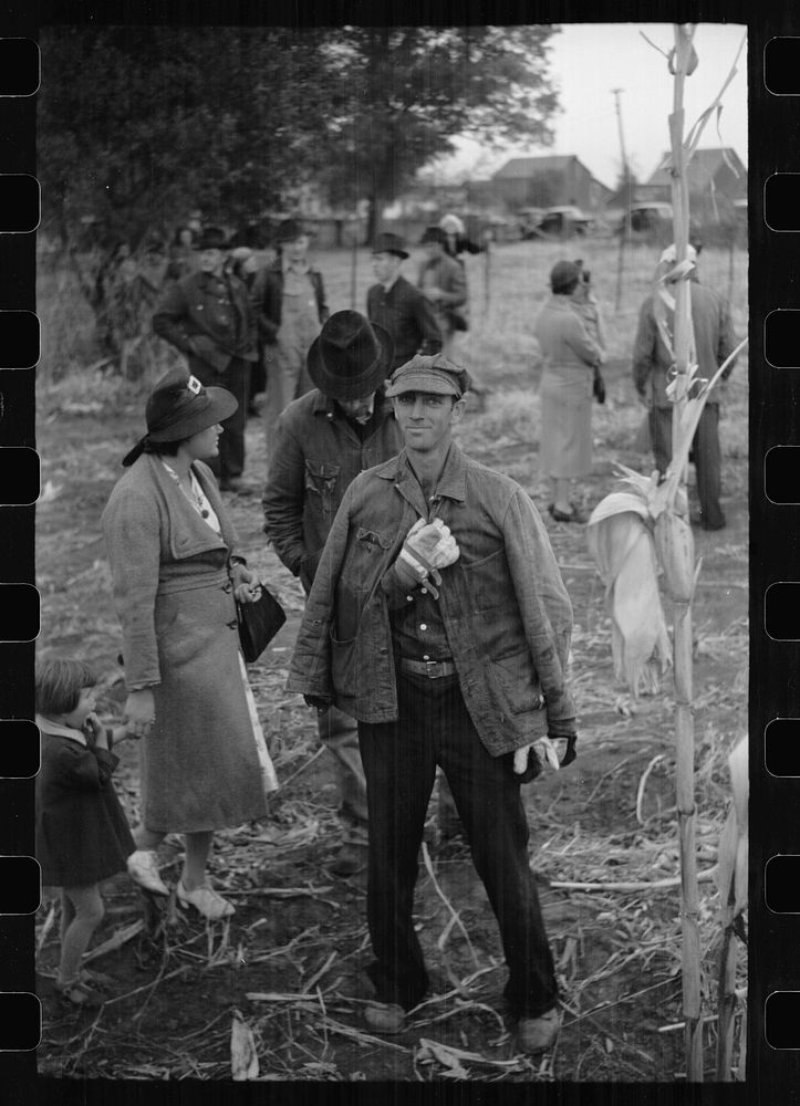 [Untitled photo, possibly related to: Contestant waits for starting gun as his wife and child look on, cornhusking contest…