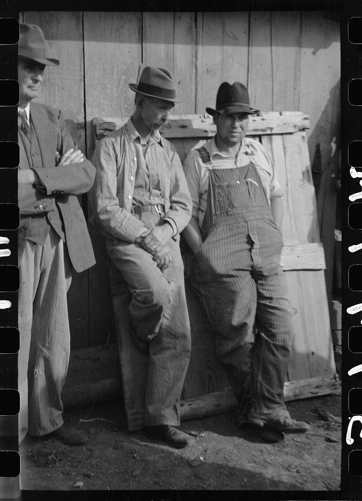 [Untitled photo, possibly related to: Farmer's neighbors who have come to buy livestock and equipment at farm sale, Pettis…
