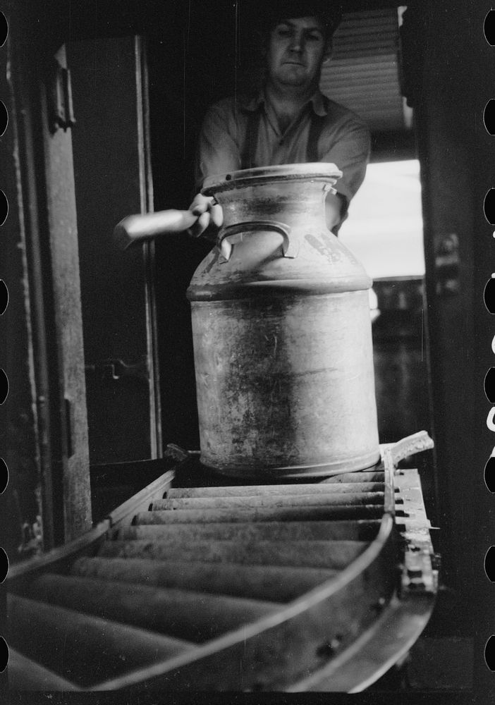 [Untitled photo, possibly related to: Running milk cans through sterilizing machine, Farmington, Minnesota]. Sourced from…