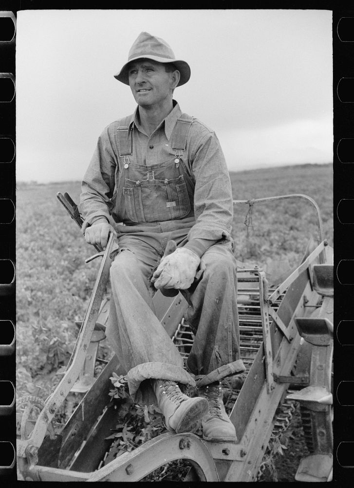[Untitled photo, possibly related to: Farmer on one-row potato digger, Rio Grande County, Colorado]. Sourced from the…