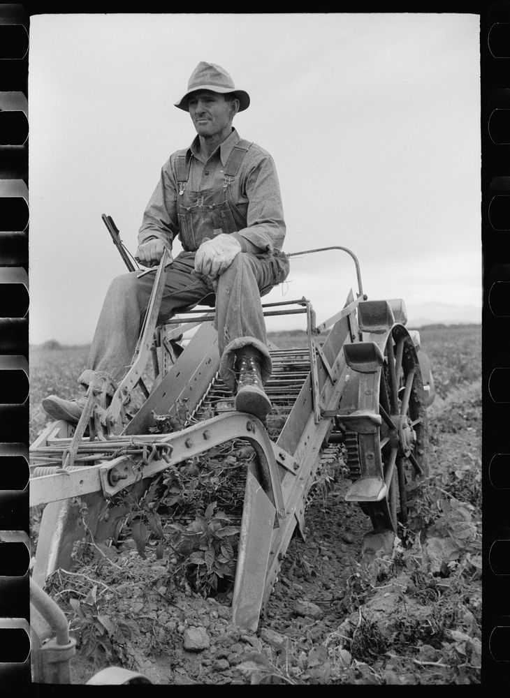 Farmer on one-row potato digger, Rio Grande County, Colorado. Sourced from the Library of Congress.