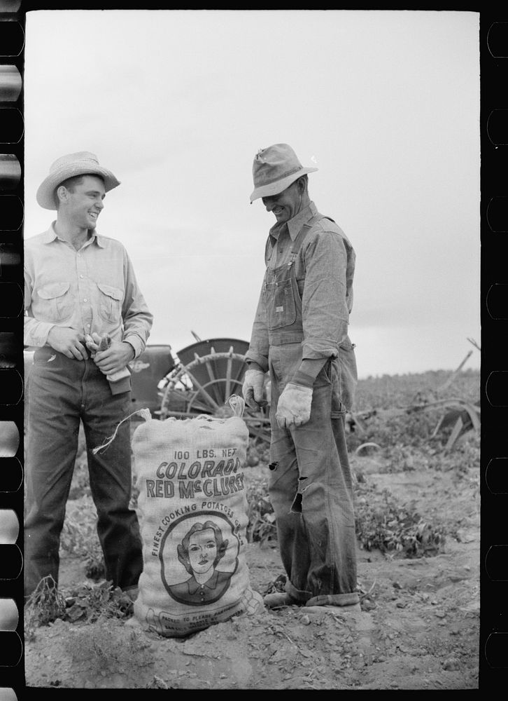 [Untitled photo, possibly related to: Farmer and son with sack of potatoes, Rio Grande County, Colorado]. Sourced from the…
