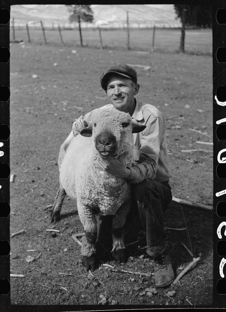Elmo Temple, Chaffee County, Colorado rehabilitation client with one of his purebred bucks. Sourced from the Library of…