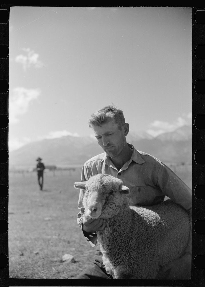 [Untitled photo, possibly related to: Elmo Temple, Chaffee County, Colorado rehabilitation client poses with one of his…