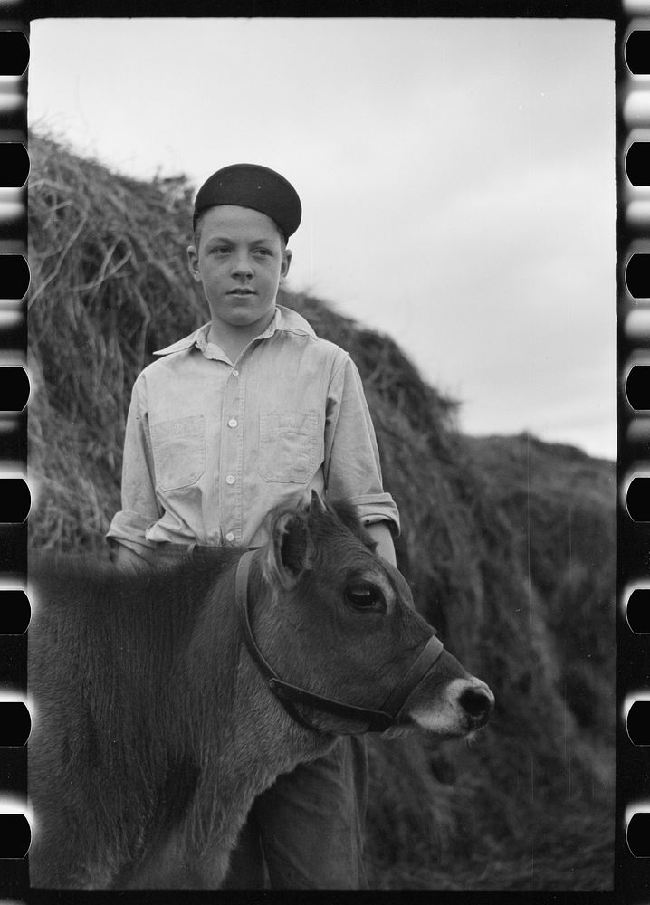 Wayne Beede, son of resettlement client, Western Slope Farms, Colorado, poses with his prizewinning 4-H calf. Sourced from…