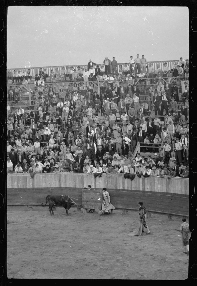 Bullfight, Matomoros, Mexico. Sourced from the Library of Congress.