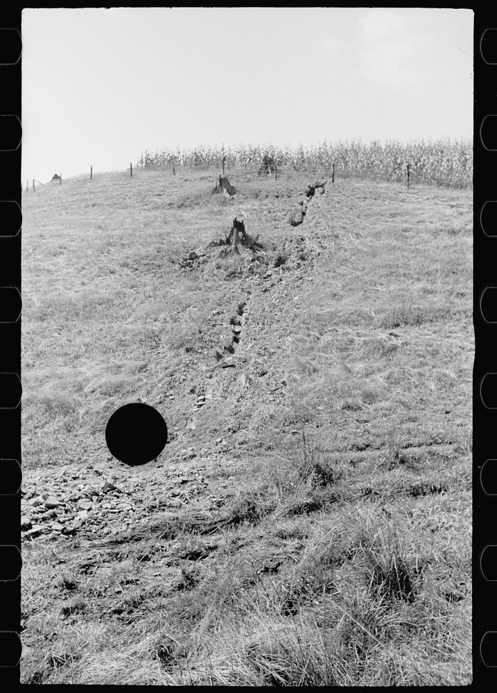 [Untitled photo, possibly related to: Farmland, hillside type, thoroughly worked, Garrett County, Maryland]. Sourced from…