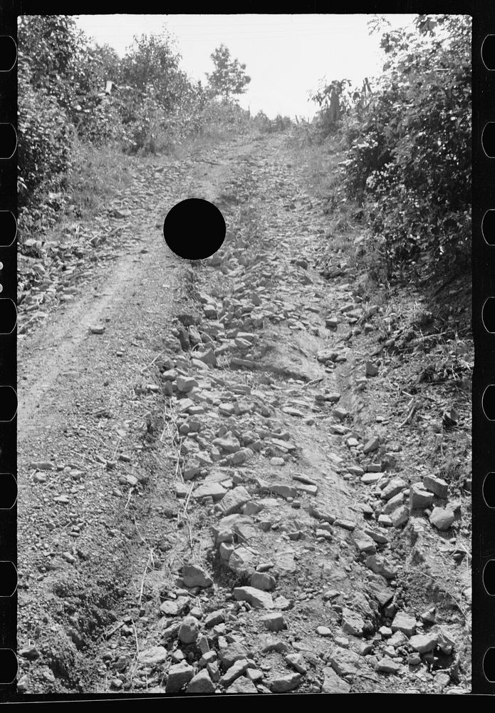 [Untitled photo, possibly related to: Bad road, Garrett County, Maryland]. Sourced from the Library of Congress.