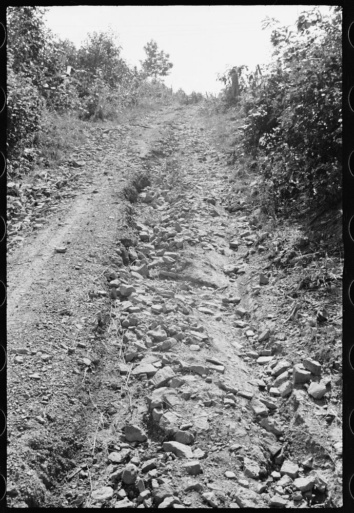 Bad road, Garrett County, Maryland. Sourced from the Library of Congress.