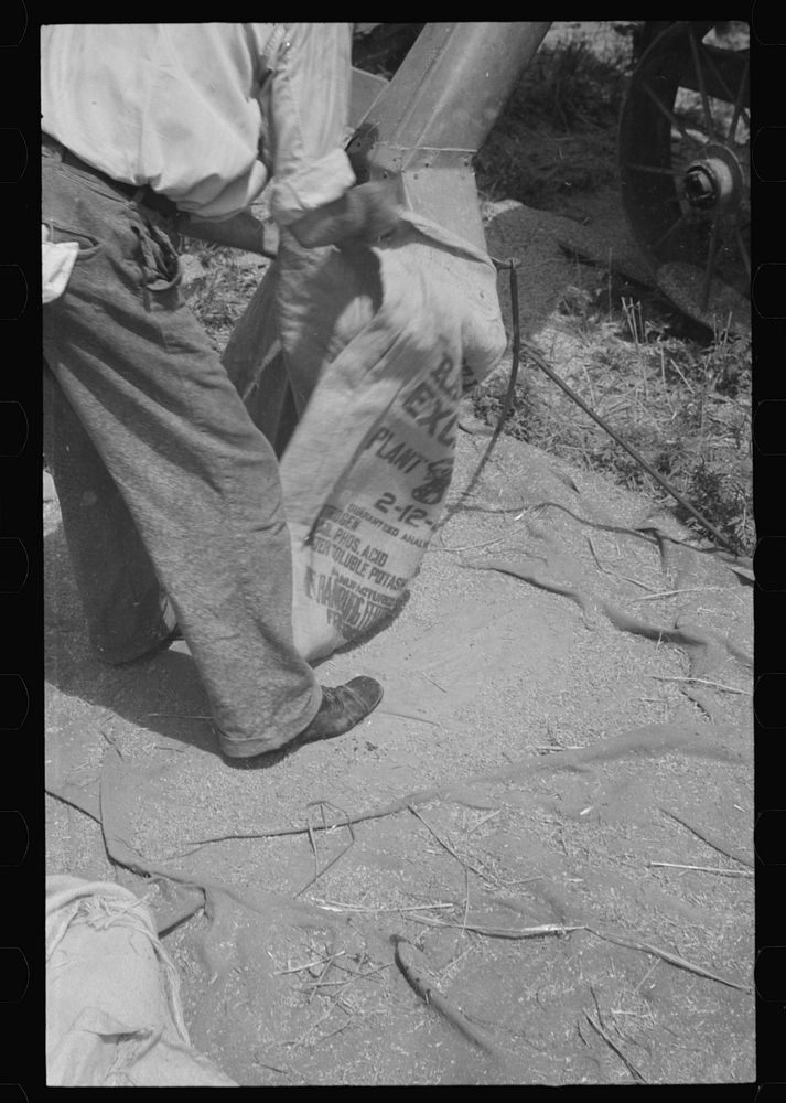 [Untitled photo, possibly related to: Sacking oats, Brookeville, Maryland]. Sourced from the Library of Congress.