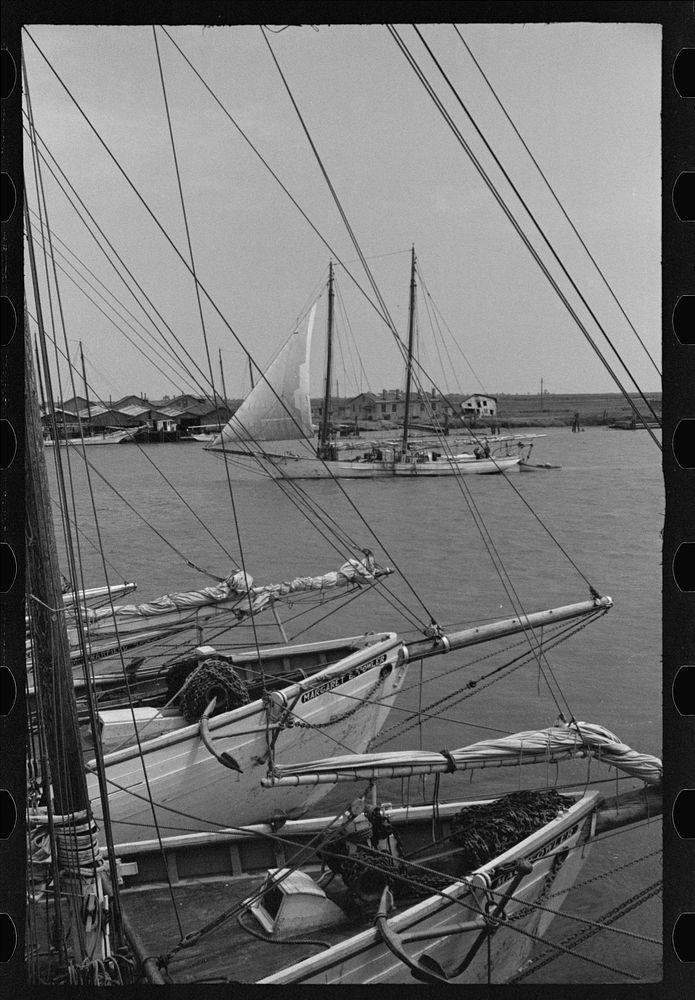 [Untitled photo, possibly related to: Aboard a trap fishing boat. The deck of the boat on the way home. Provincetown…