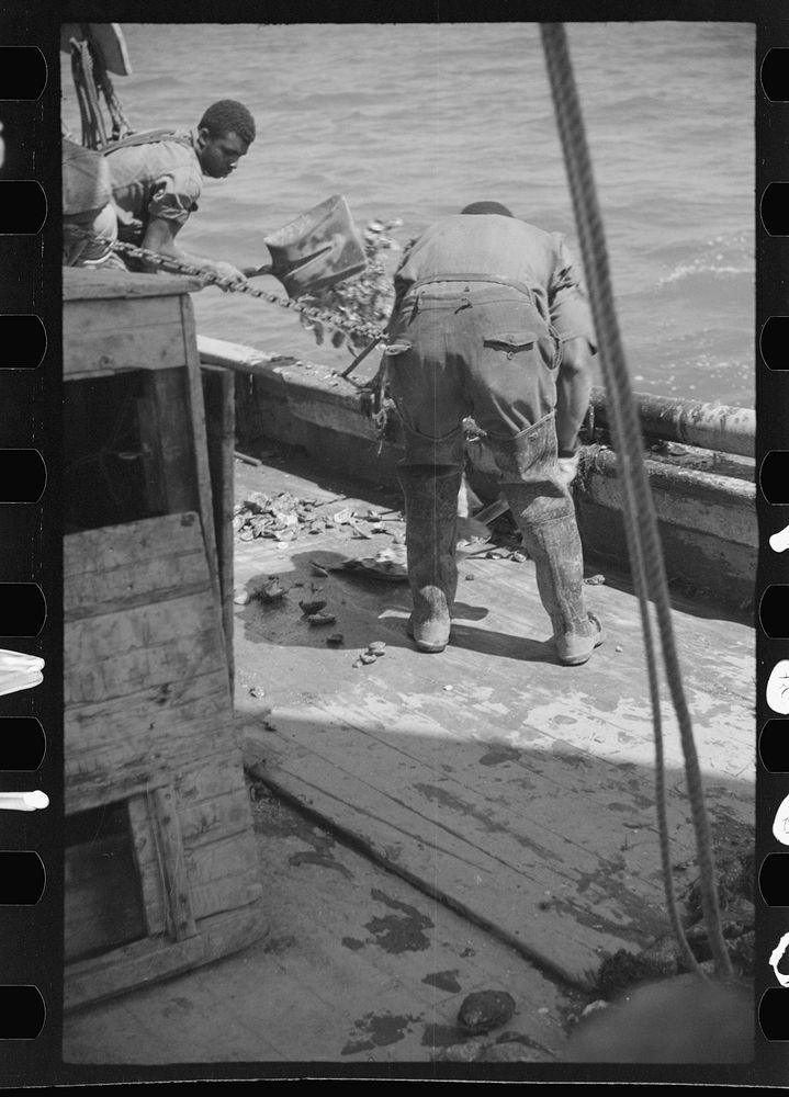 [Untitled photo, possibly related to: Summer residents watch the tourist boat arrive from Boston, Provincetown…