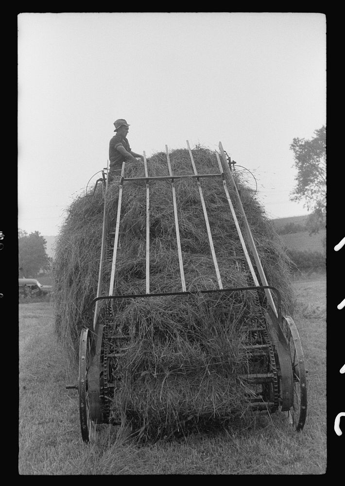 Hay harvest near Pine Grove Mills, Pennsylvania. Sourced from the Library of Congress.